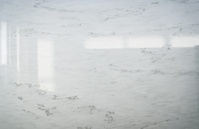 fotogalerie